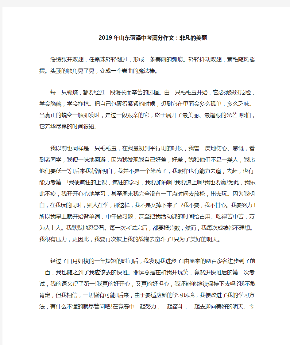 山东省菏泽市2019年中考语文满分作文非凡的美丽