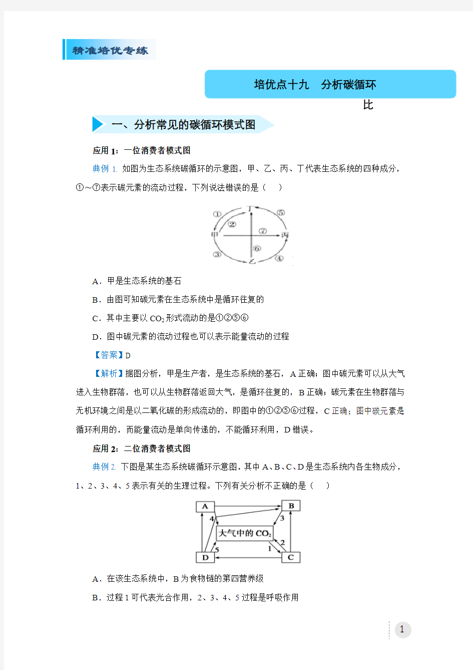 2020届高三精准培优专练十九 分析碳循环 生物 教师版